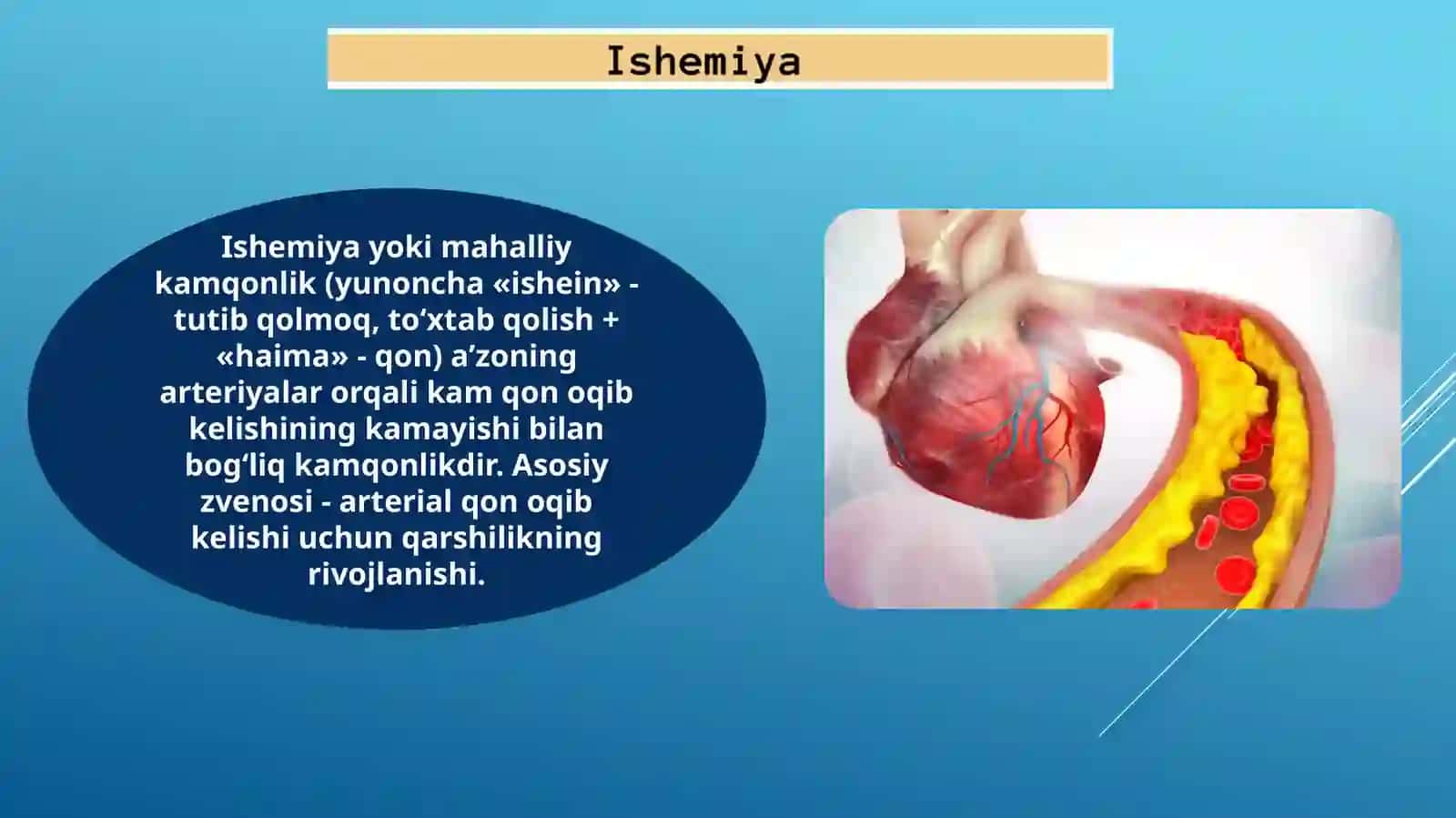 Mikrosirkulyator Tomirlar devori orqali qon danto’qimaga to’qimadan qo’ta 4
