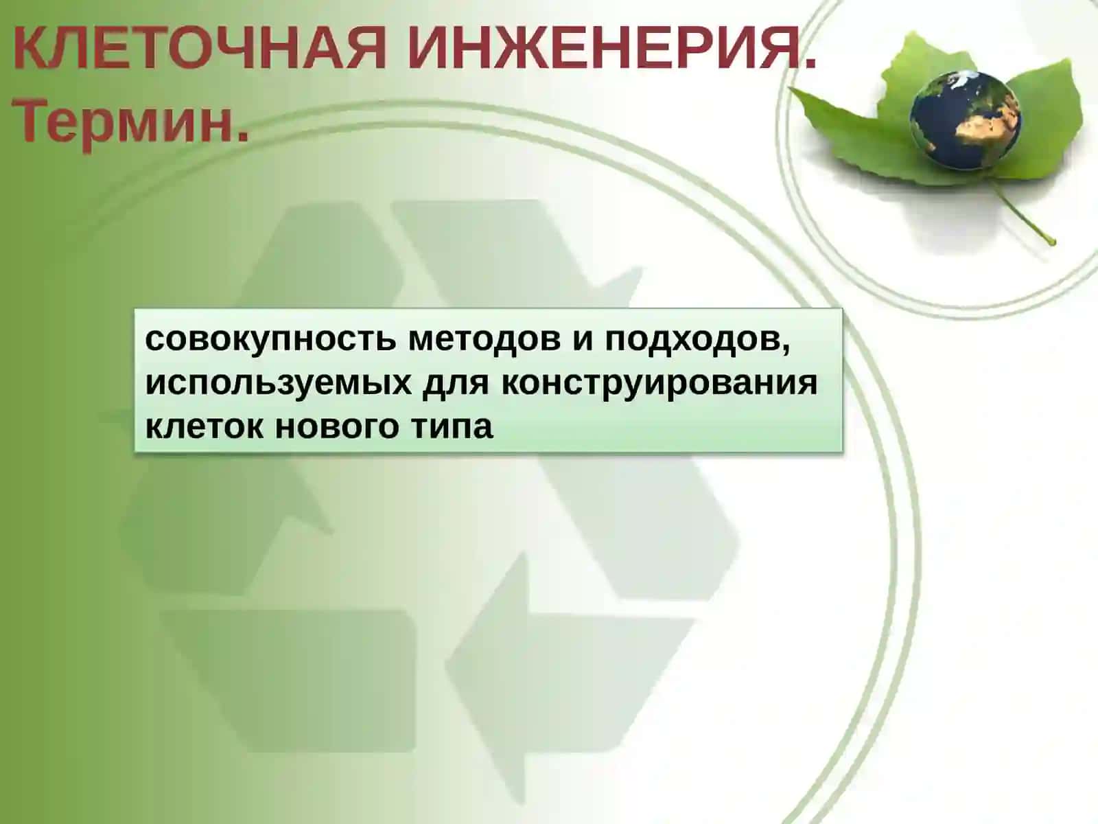 ОСНОВЫ БИОТЕХНОЛОГИИ 4