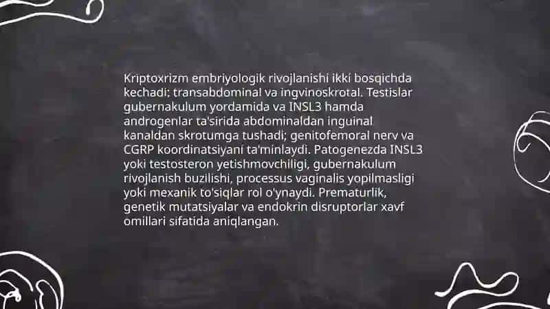 Kriptoxrizm 4