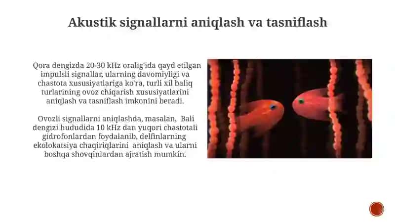 Suv osti hayvonlarining akustik signallarini tahlilqilish 4