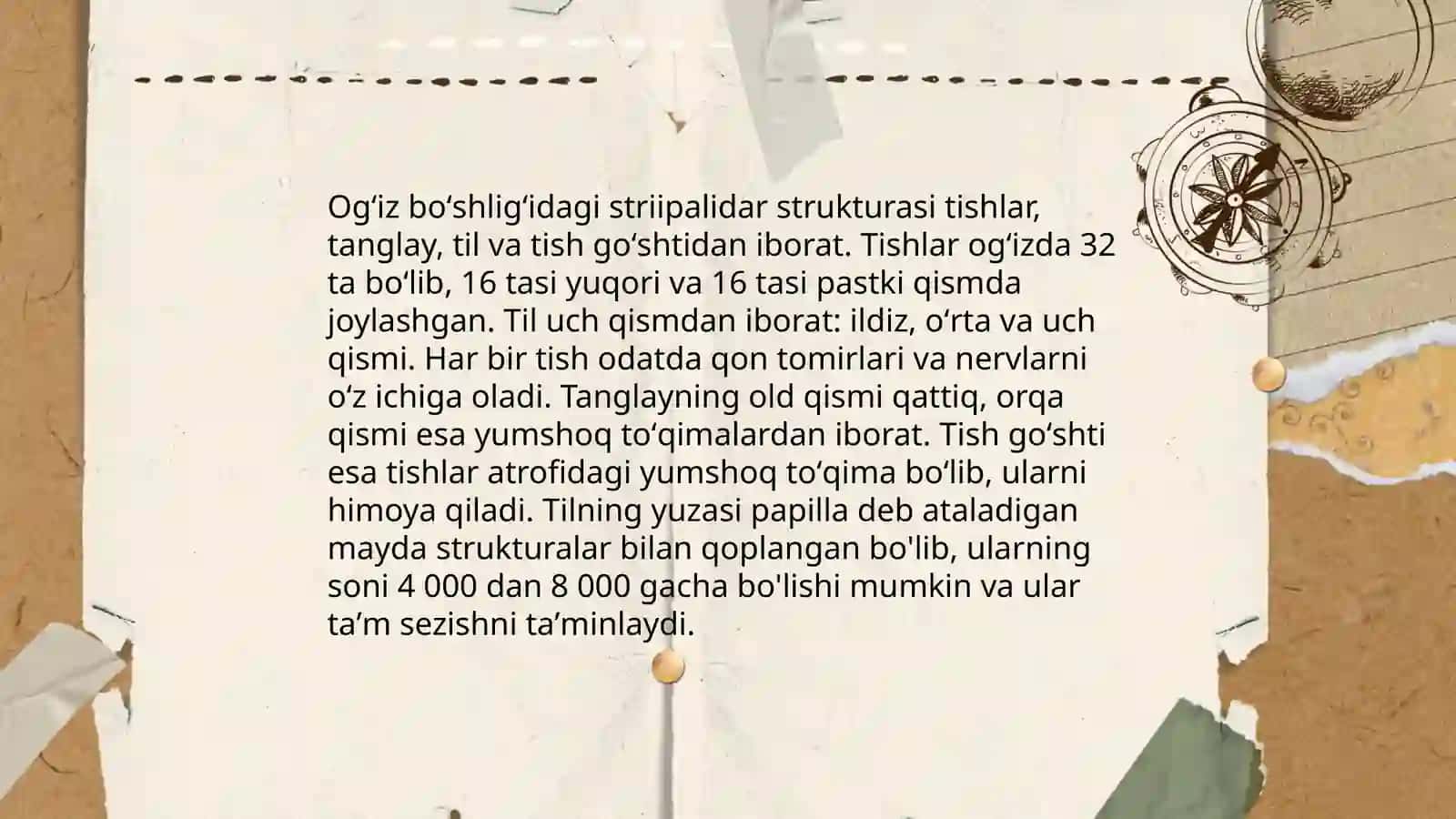 Normal fiziologiya fanidan mustaqil ish 4