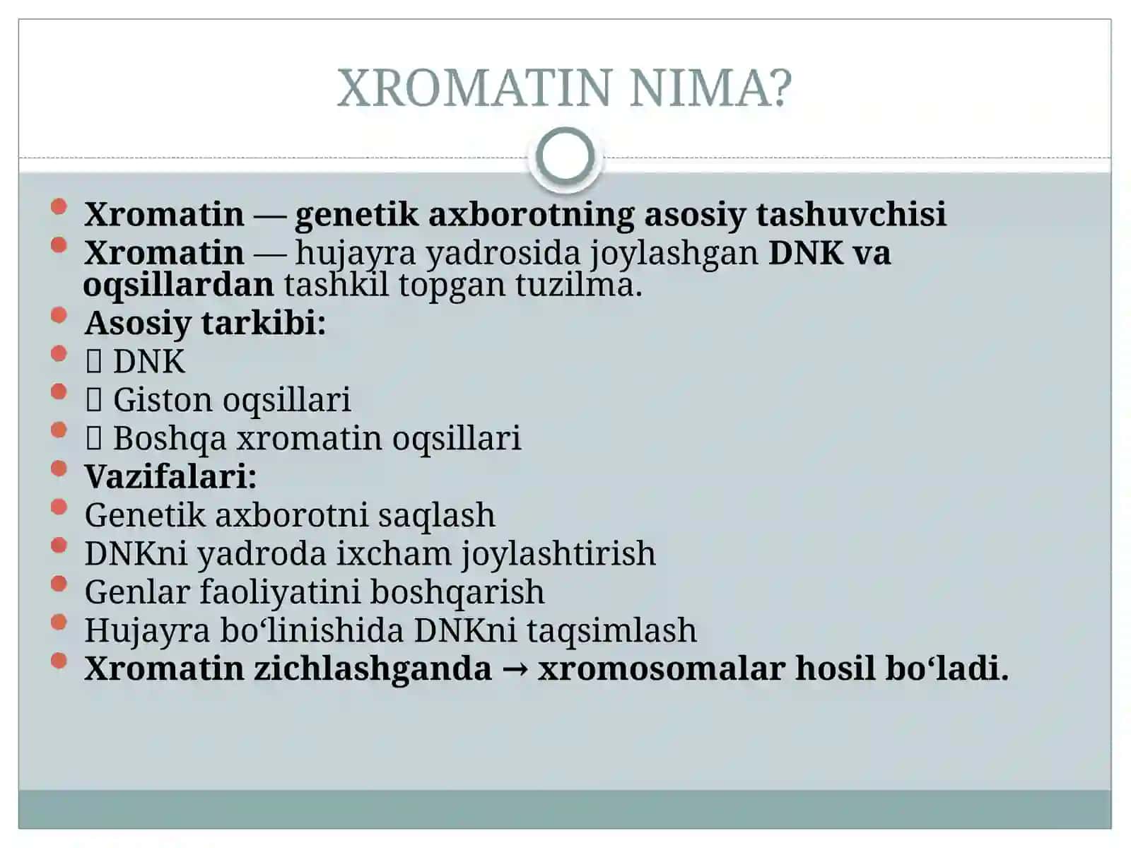 Hujayrasiklik va hujayra bo'linishi: xromatin tuzilishi, mitoz va meyoz 4