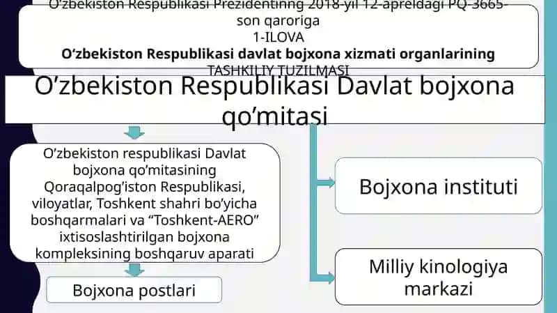 Bojxonaishinitashkiletishvaboshqarishasoslari 4