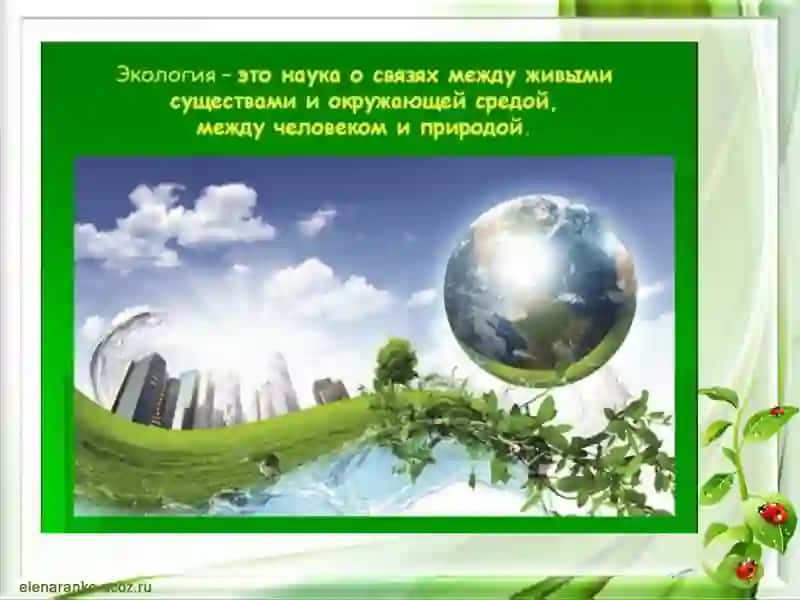 ЗДОРОВЬЕ ПЛАНЕТЫ НАША ЖИЗНЬ 4