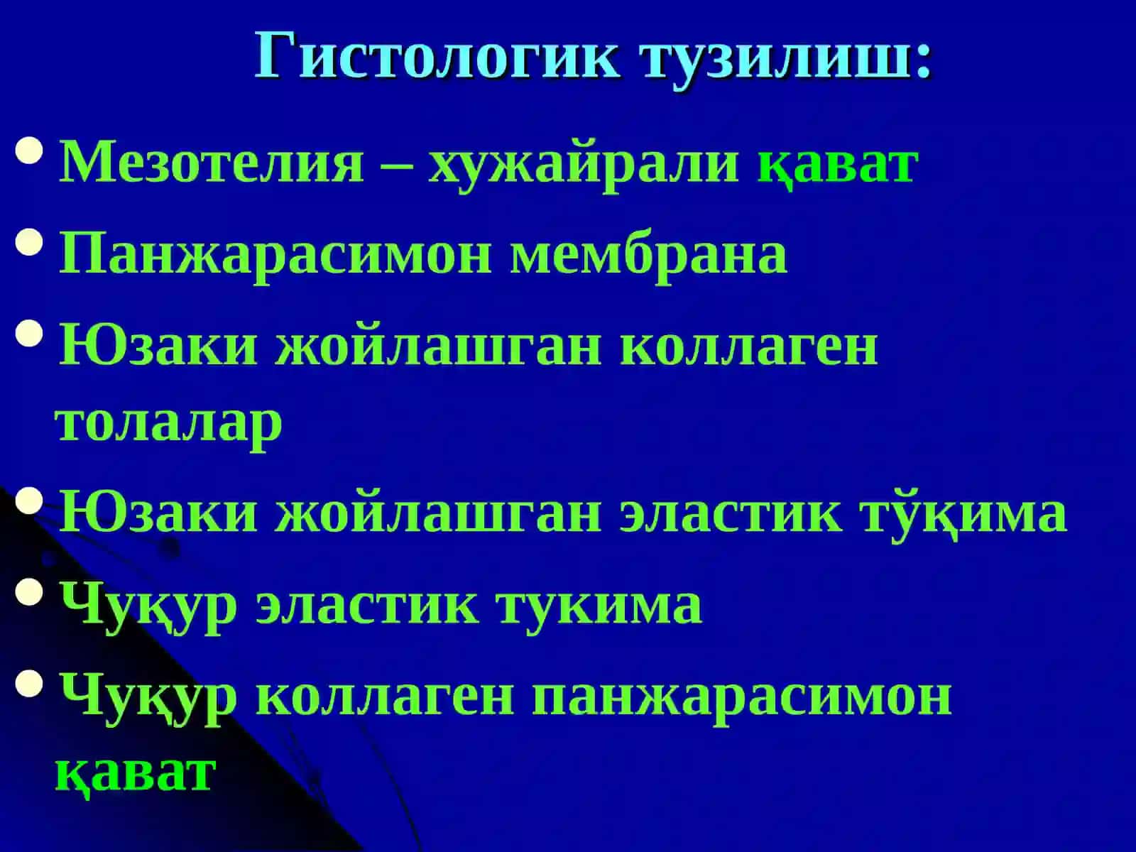 Плевратуберкулези.Туберкулез менингити 4