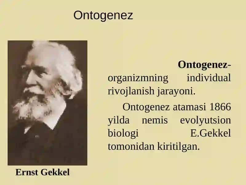 Hujayralarning bo’linish turlari.Mitoz. Meyoz.Amitoz 4