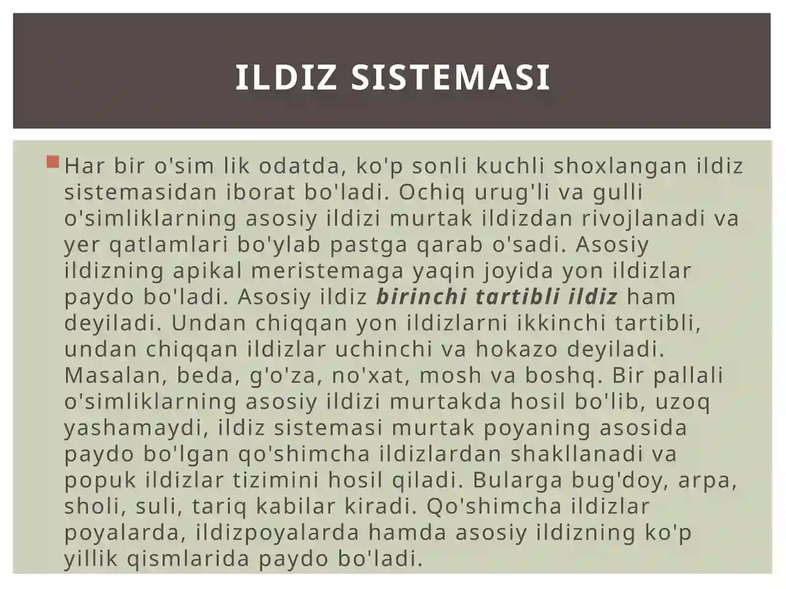 Ildiz anatomiyasi 4
