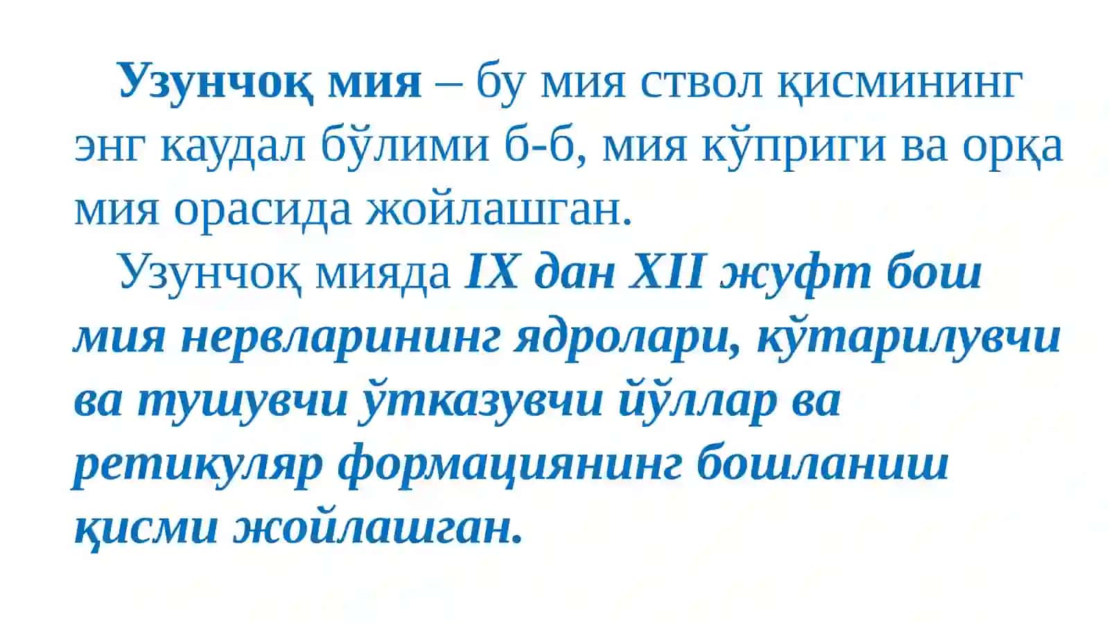 Markaziy asab tizimining fiziologiyasi 4