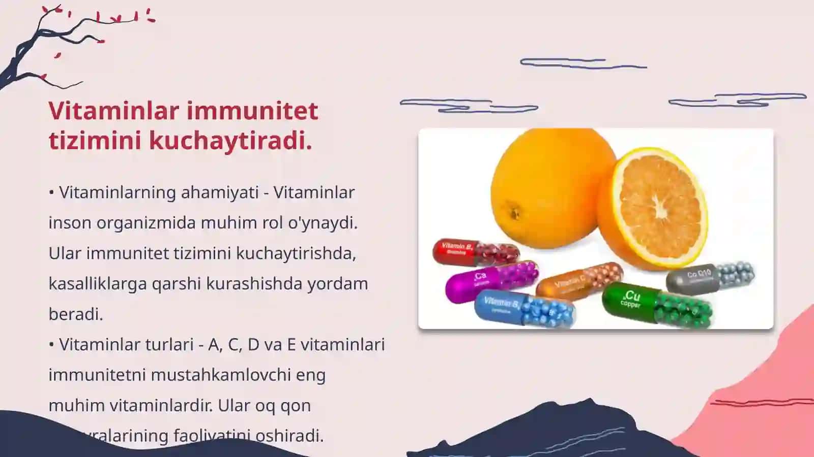 Immunitetga tasir etuvchi vositalar. Vitaminlar 4