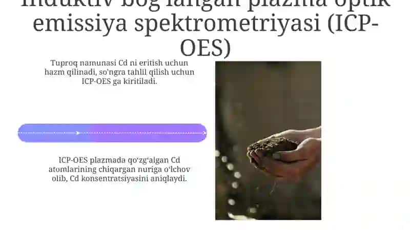 Atomik So'rish Spektrometriyasi (ASS) 4