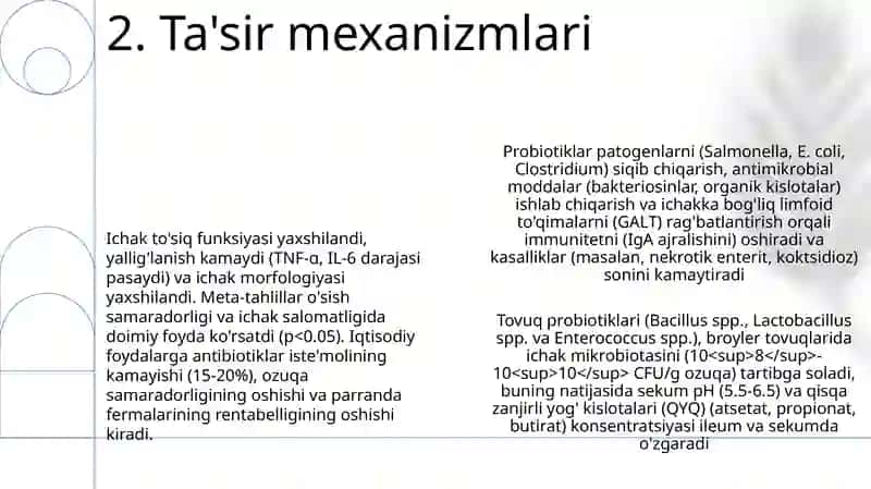 Tovuqlarga probiotik 4