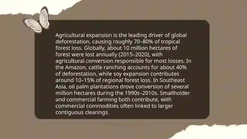 Deforestation 4
