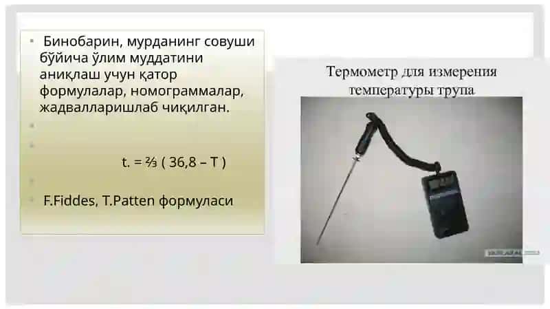 Ўлим вақтини аниқлаш 4