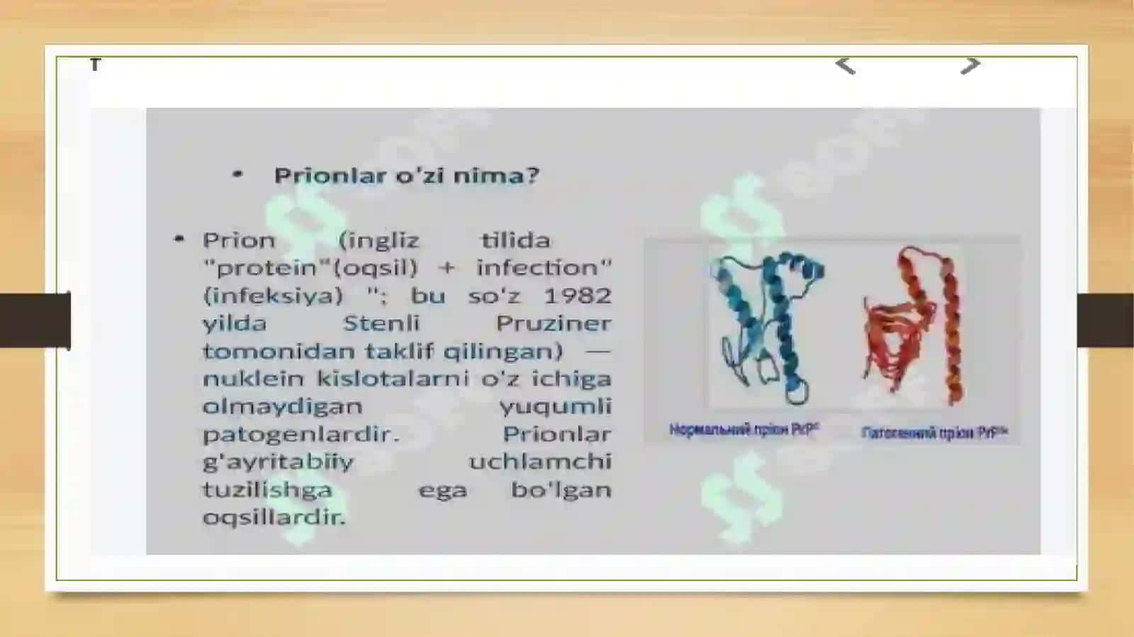 Prion kasalliklari 4