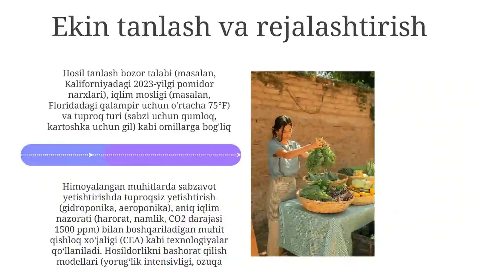 Himoyalangan joylarda sabzavot yetishtirish 4