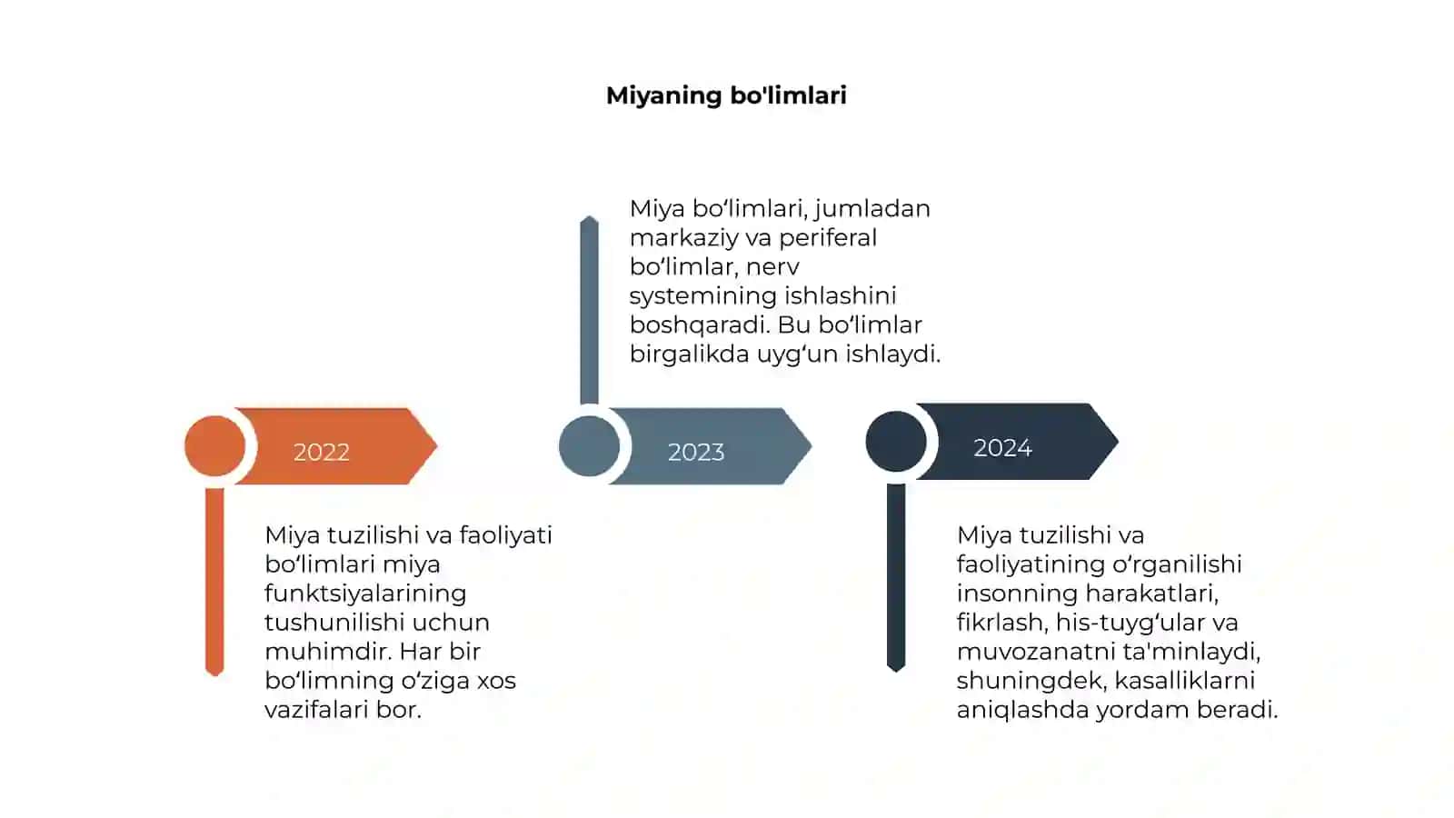 Miya tuzilishi va faoliyati 4
