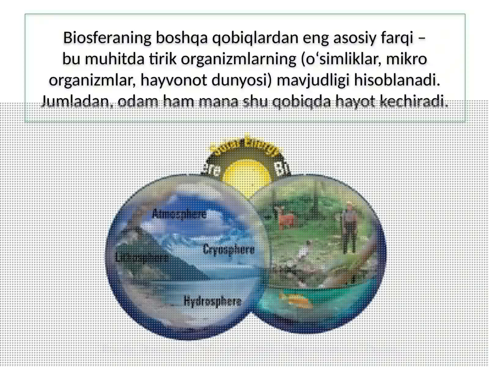 BIOSFERA 4