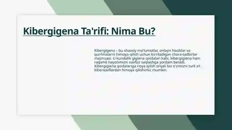 Kibergigena va Netiket 4