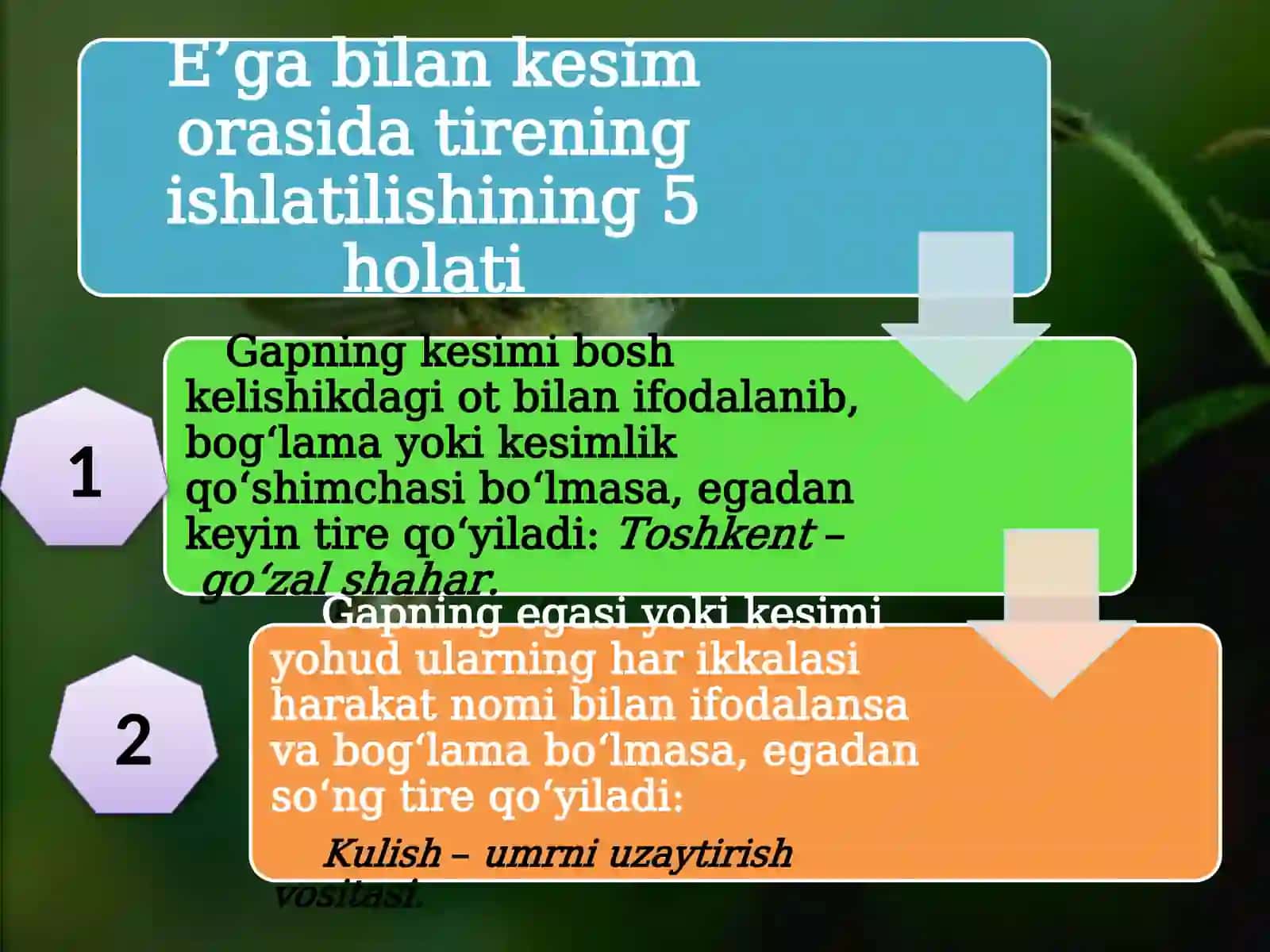 E’gabilan Kesimorasidagi Tiringishlatilishi 4