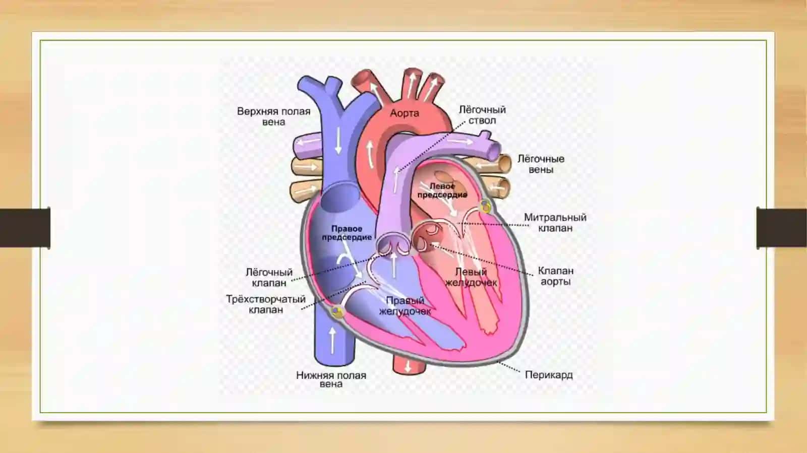 ppt 4