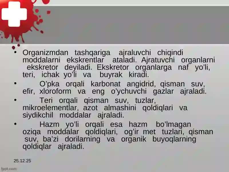 Ayiruv organlari 4