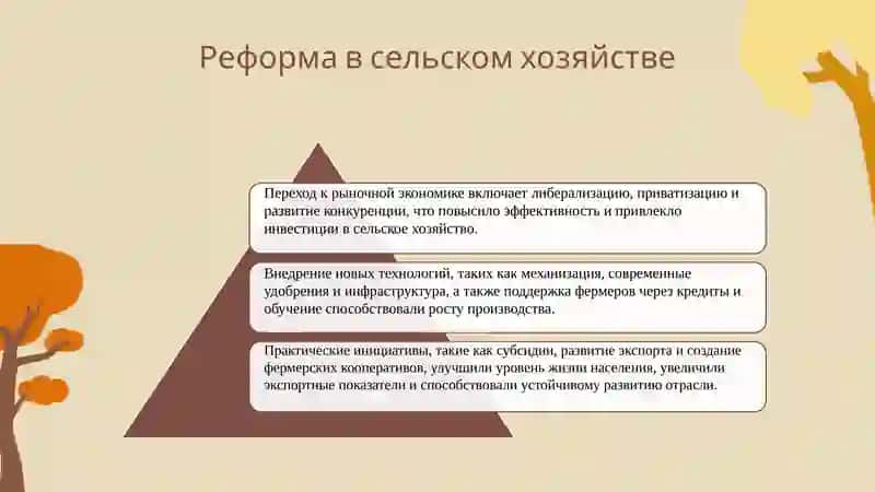 Основные социально-экономические реформы 4