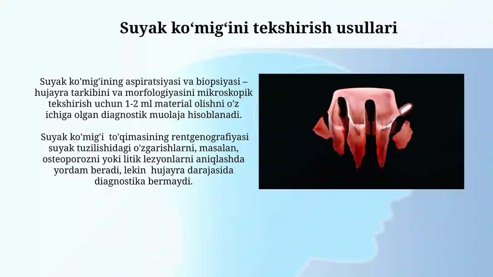 Suyak iligi vazifasi tuzilishi qizil ilig va sariq ilig 4