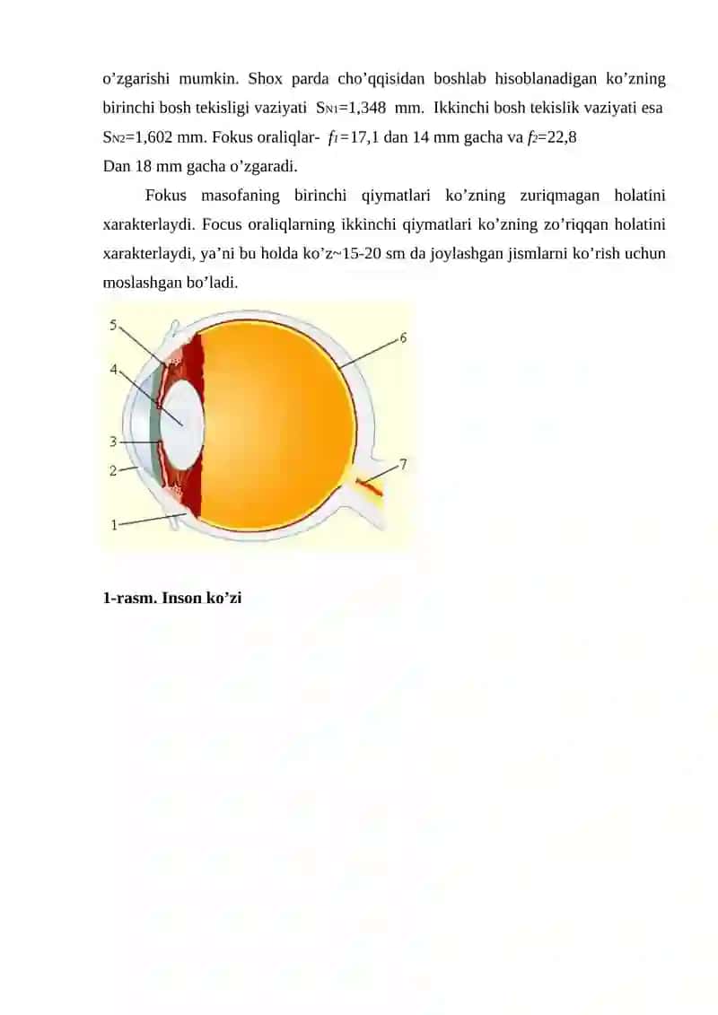 Ko'z optik asboblar 4