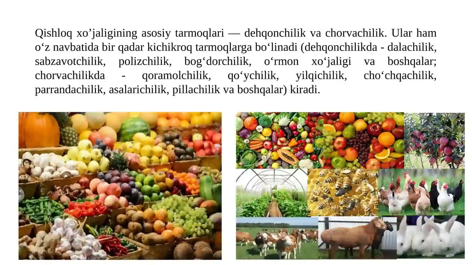 Iqtisodiy islohotlarni chuqurlashtirish sharoitida qishloq xo’jaligining hududiy ixtisoslashuvi 4
