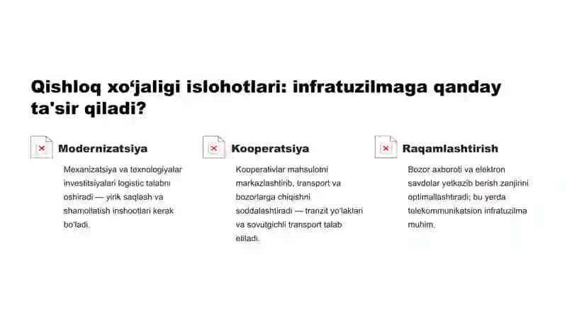 Bozor infratuzilmasi 4