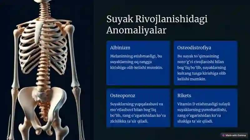 Suyaklarning Rengin.Anatomiya vaRivojlanishAnomaliyalari 4