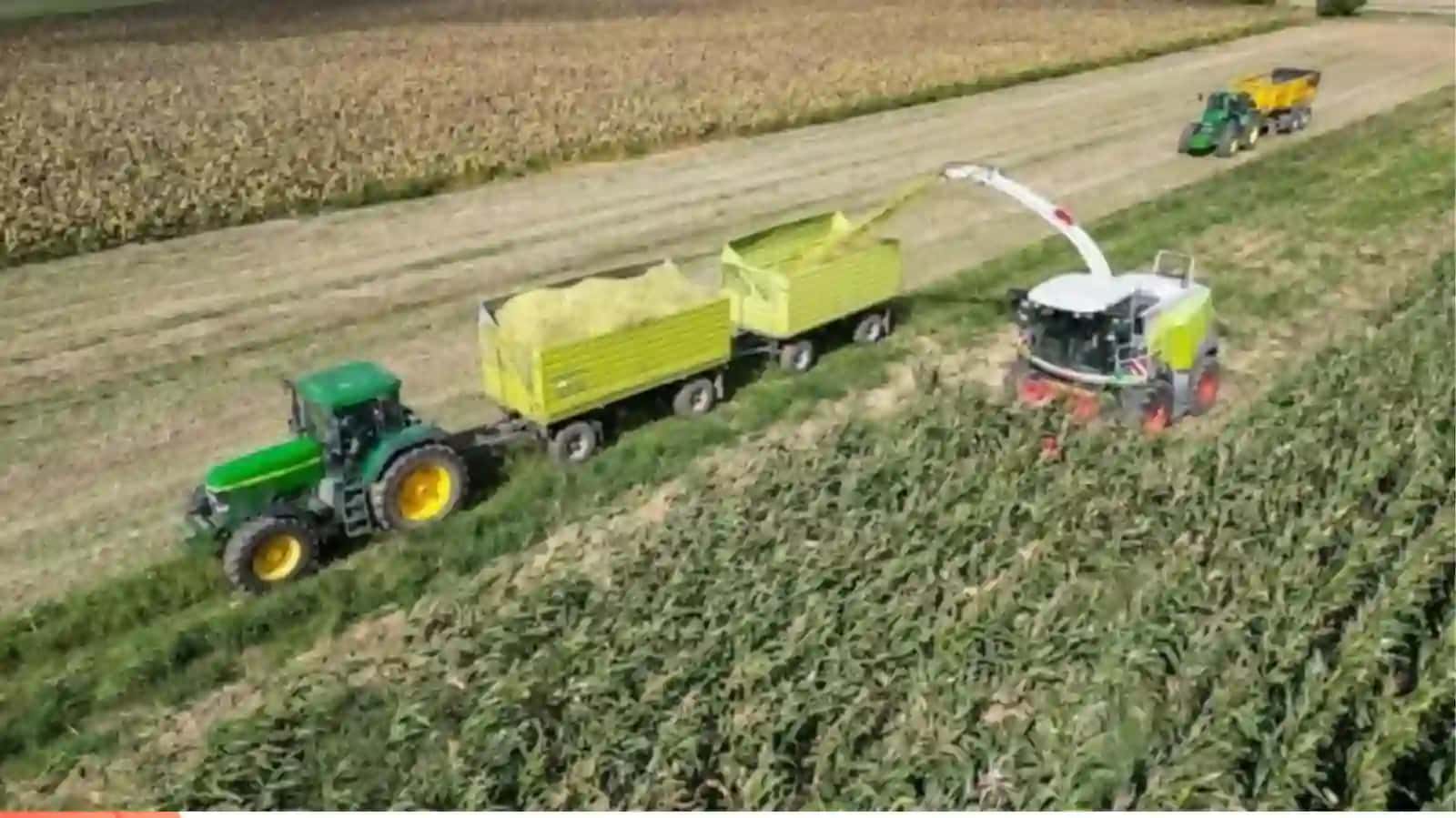 Qishloq xo‘jaligi va sanoat sohasidagi o‘zgarishlar 4