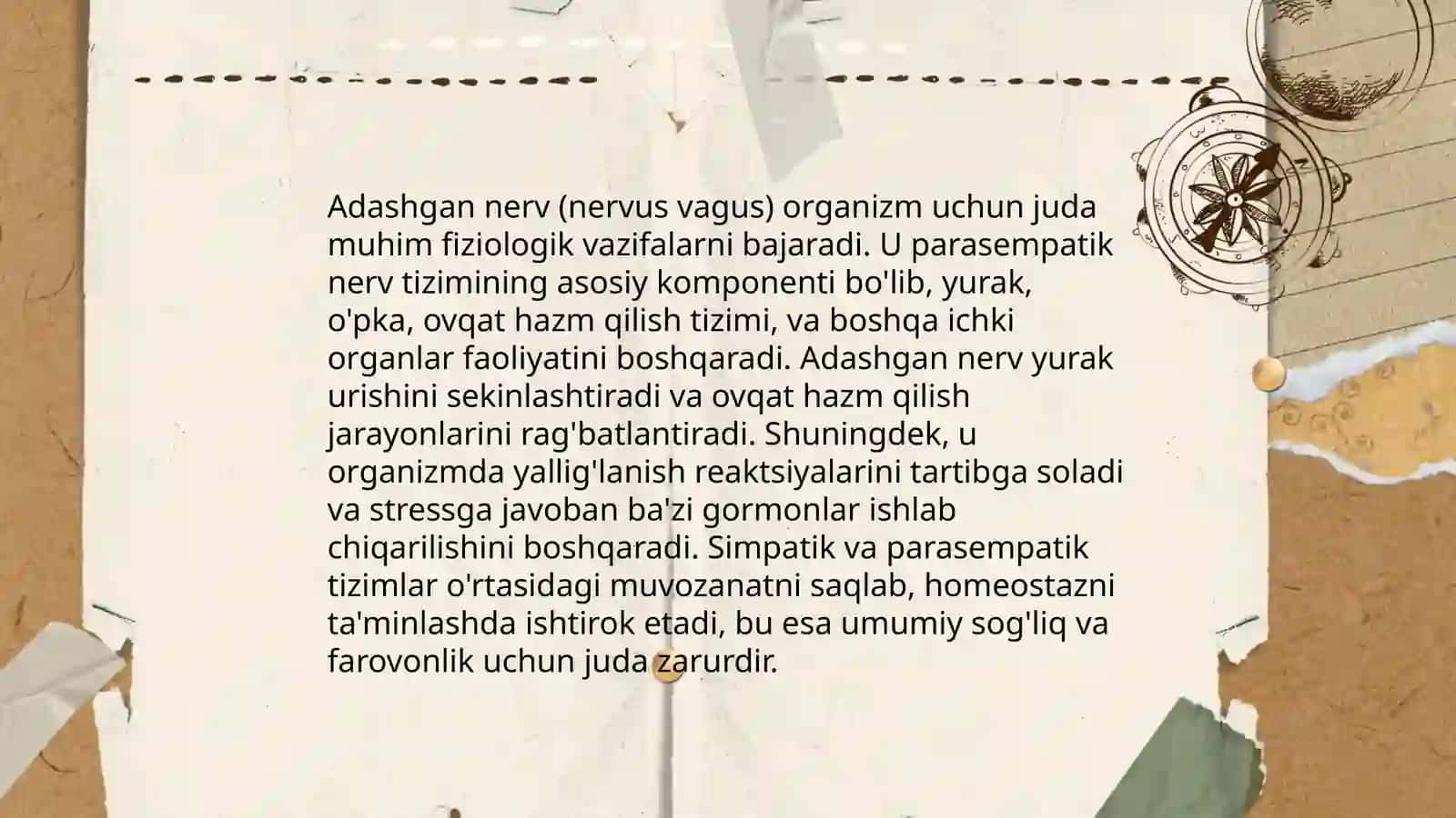 Adashgan nerv. Adashgan nervning oziga xosligi 4