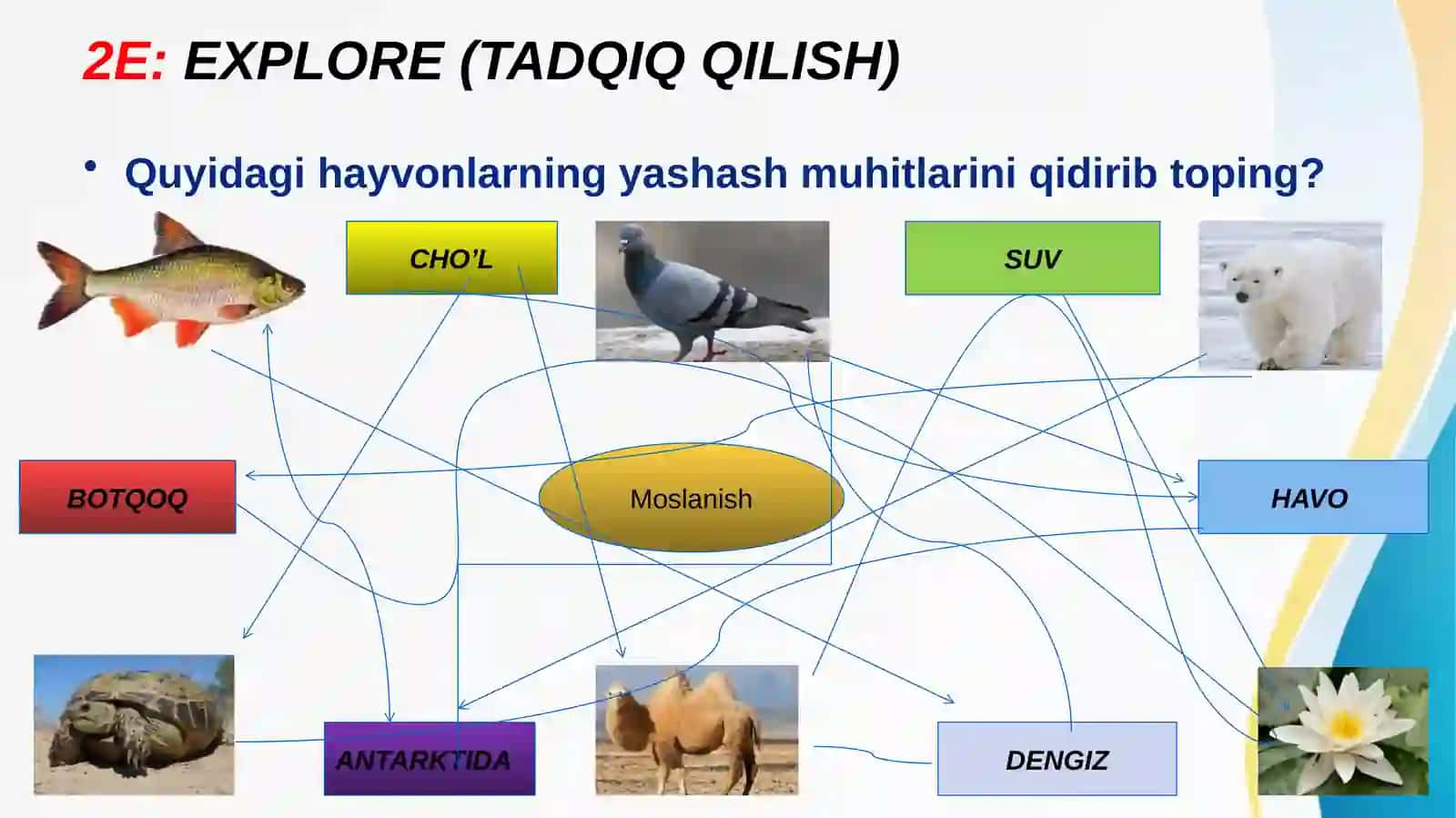 Ne’matova Bahor 4