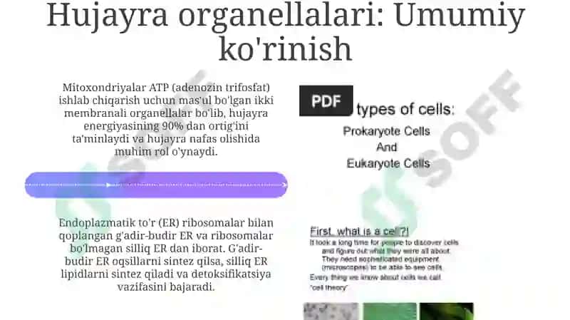 Hujayratuzilishi, Hujayranazariyasi, Genetikinjeneriya 4