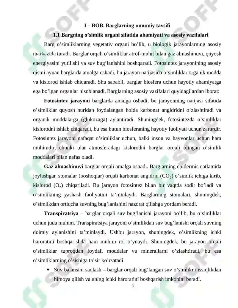 Barglarning Morfologik va Anatomik Tuzilishi 4