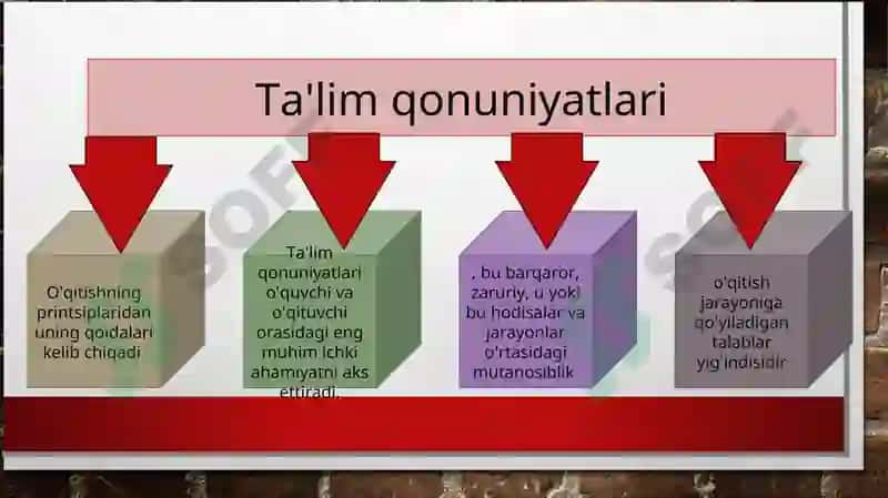 Ta'lim qonuniyatlari 4