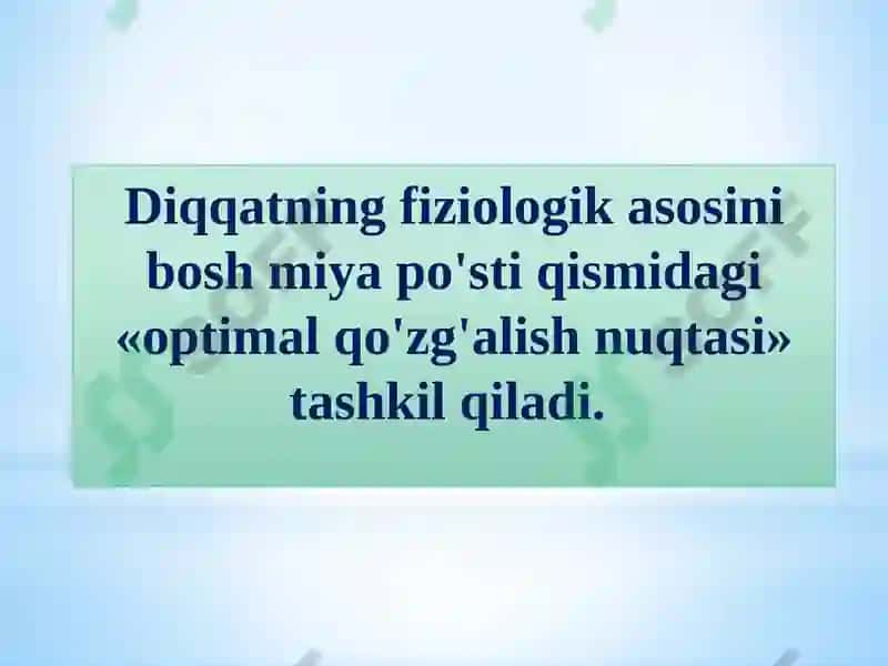 Diqqat 4