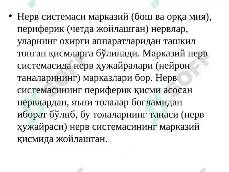 Nerv tizimi umumiy fiziologiyasi 4