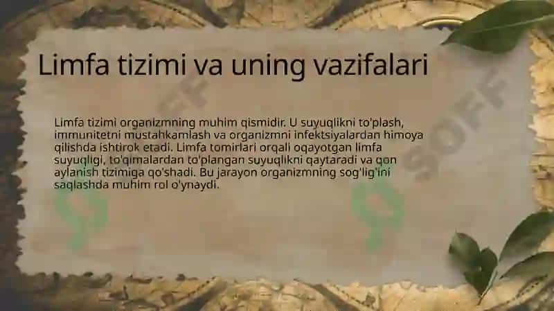 Limfa va uning harakati 4