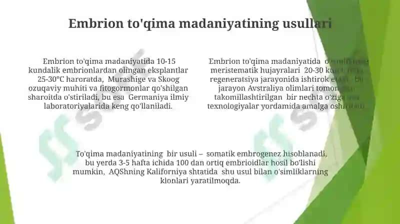 Embrional xosil qiluvchi toqimalar va ularning qishloq xo'jaligidagi axamiyati 4