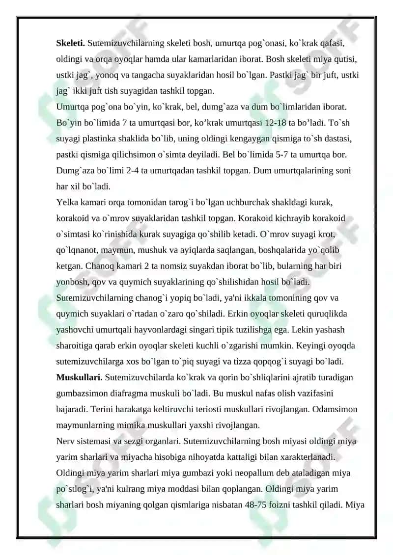 Sutemizuvchilar sinfi, ekologiyasi va evolyutsiyasi kurs ishi 4