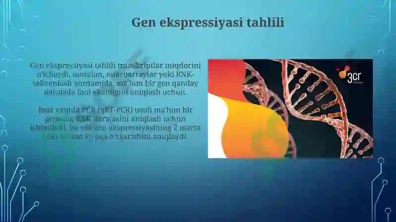 Gen strukturasini oʻrganish metodlari 4