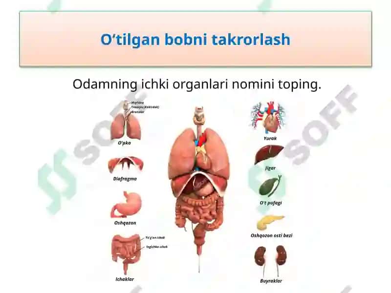 Iqlim 4