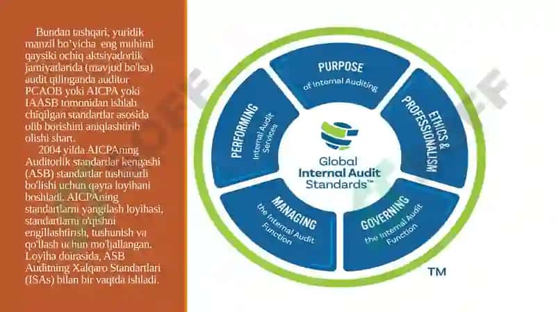 AUDIT STANDARTLARI 4