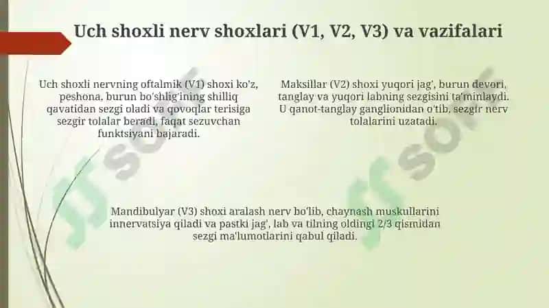 Uch shoxli nerv 4
