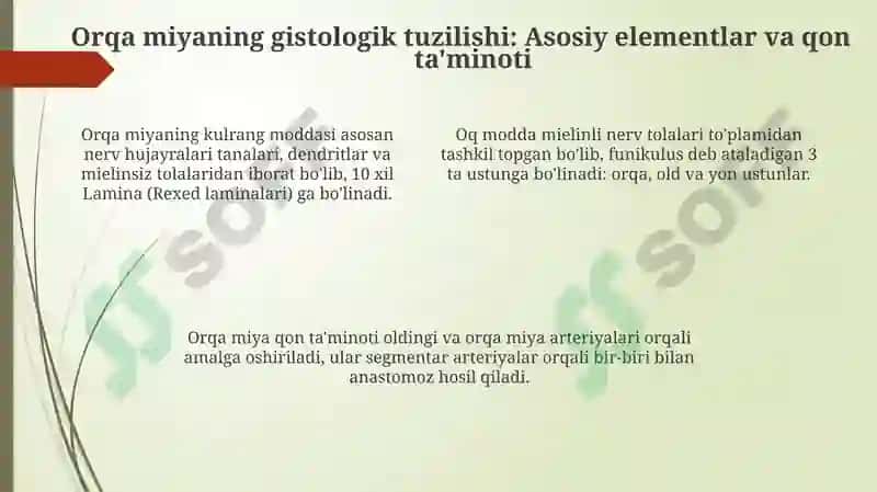 Nervtizimisezuvchi nervtugunlari orqamiyagistalogiya 4