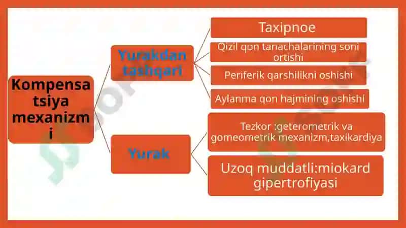 Yurak ishi yetishmovchiligida kompensatsiya 4