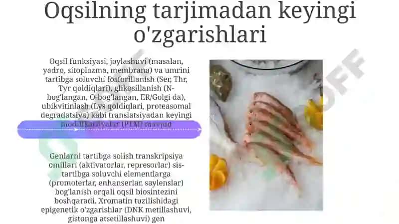 Oqsil biosintezi va uning genetik darajadagi regulyatsiyasi 4