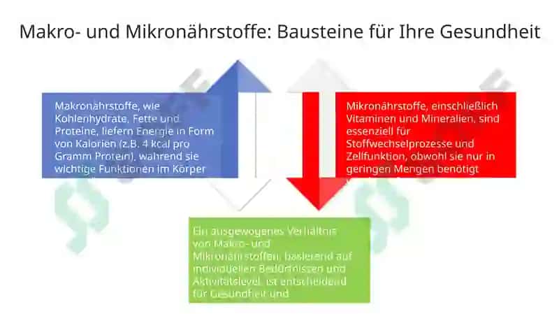 GesundeErnährung 4